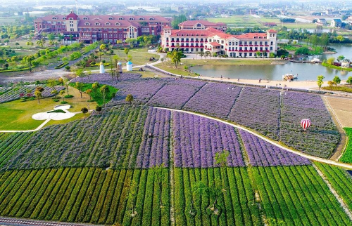 养在青吴嘉,这些美丽乡村，颜值高有内涵