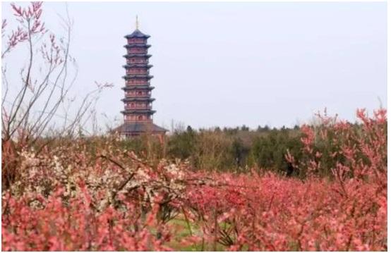相约宿迁,许你一场浪漫邂逅