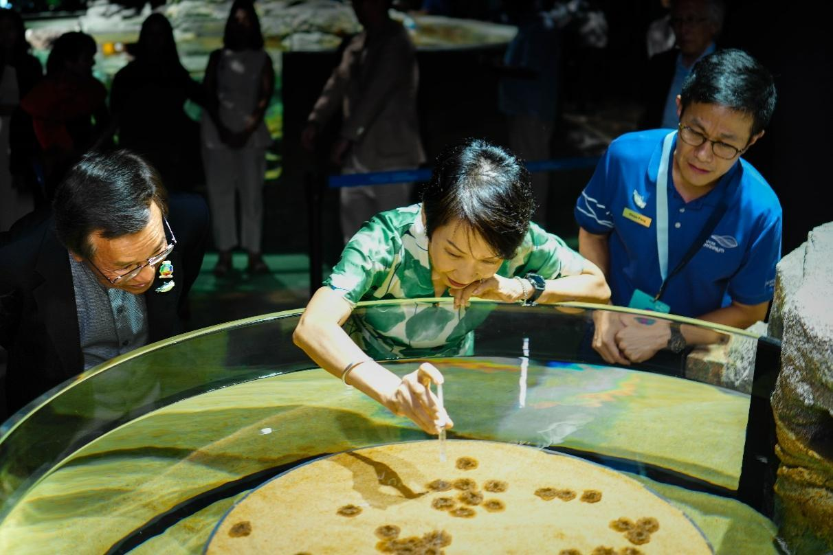 图片来源：圣淘沙名胜世界新加坡海洋生态馆