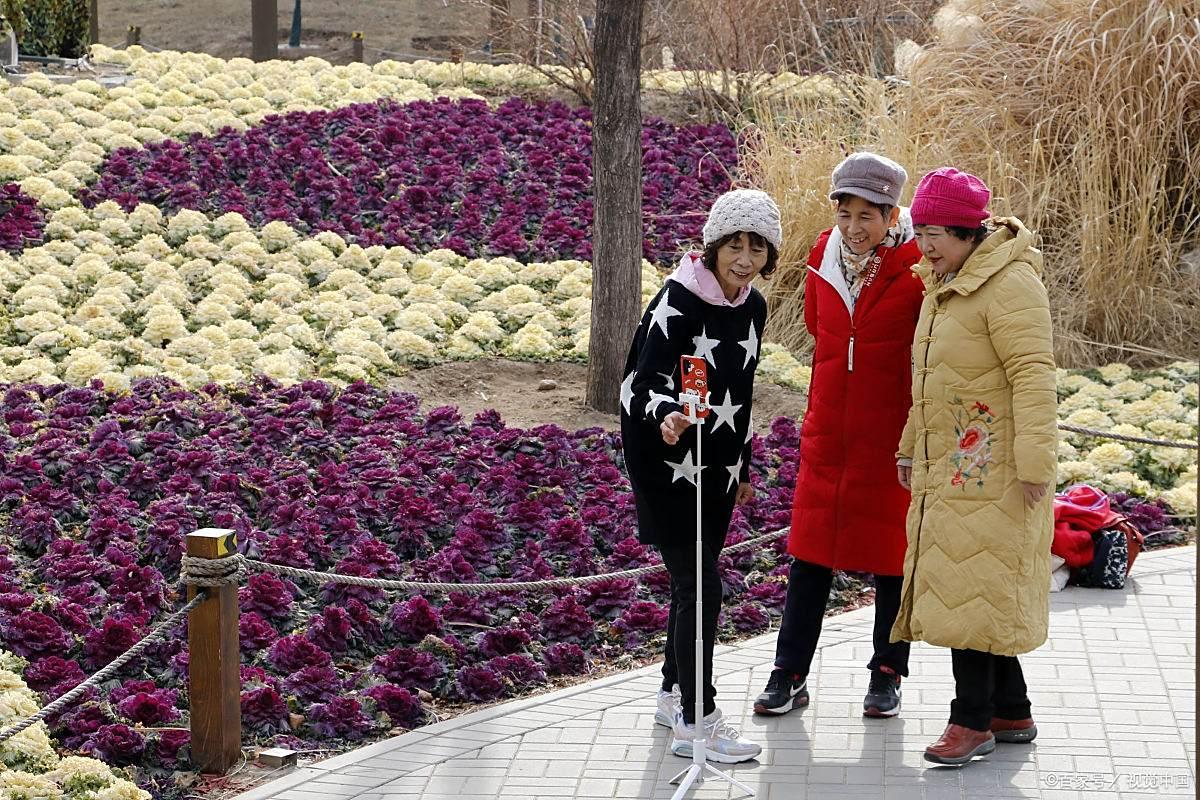 牡丹峰秋日文化节，自然美景结合民俗趣玩！